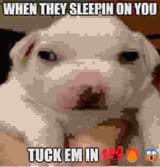 1670549129678558