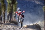 honda xr650r 2