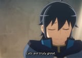 Cats are truly great - Kuzunoha