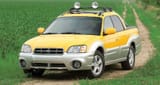YellowBaja