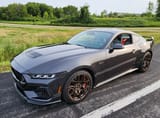 mustang-overall[1]