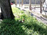 IMG_20250319_143716798smol