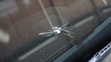 windshield-chip-repair-Memphis-Eden-Auto-Glass-scaled