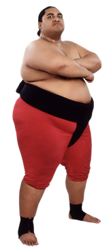 yokozuna_stat