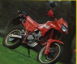 nx650 dominator