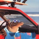 florida bro