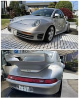 VW Beetle