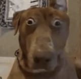 tfw