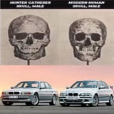 e38chadsstaywinning