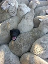 suceeding-despite-having-no-clue-what-is-going-on