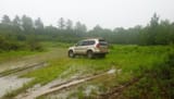 GXswampin