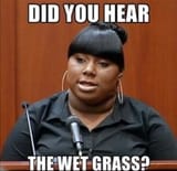 grass