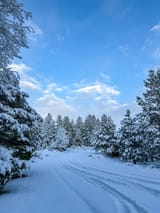 IMG_1050