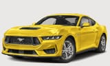 mustang trim colorized