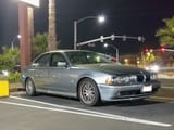 E39 palm trees