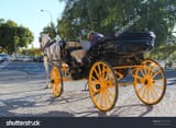 stock-photo-horse-drawn-carriage-waiting-for-tourists-with-sleeping-driver-at-the-cathedral-in-seville-spain-781975138