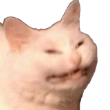 cringecat