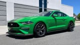 need for green
