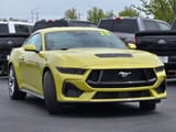 piss_stang