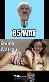wut