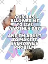 possums