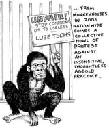 lube mkay