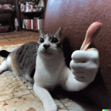 ThumbsCat