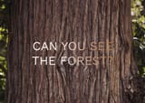 CantSeeForestForTree