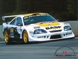 saleen sr