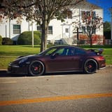 Mahogany metallic in the sun