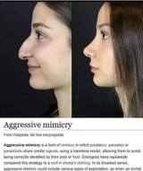1752614191658659