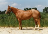 Roan