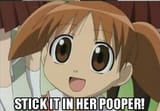 pooper