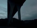 IMG_1362