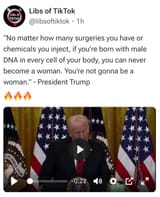 trumpywnbaw