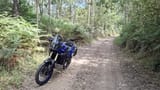 tenere4