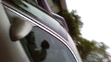 WIN_20210812_19_26_08_Pro