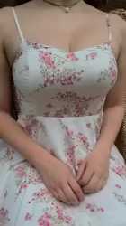 Thread 28524695 OP Image