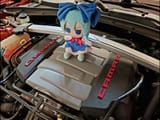 CirnoDay24