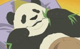 bamboo