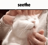 seethe-cope