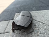 IMG-20250729-WA0001
