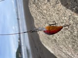 IMG_2836