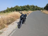 PXL_20250615_144211968.MP
