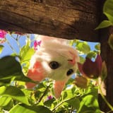 IMG_20250607_170801_913