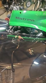 IMG_20250809_012853_666