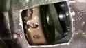manual transmission visible clutch engagement_thumb.jpg