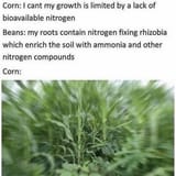 1635279656074