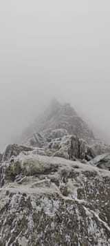 IMG_20250210_123000_445