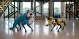 Meet-Sparkles-_-Boston-Dynamics-0-1-screenshot-kopiya_1714459453-1024x512